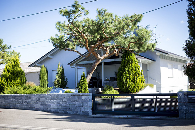 Pourquoi faire appel à un paysagiste pour son portail ?